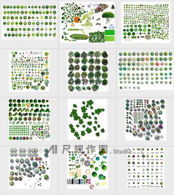 环境艺术设计的数字花园 建筑景观环艺彩色总平图PSD素材的价值与应用